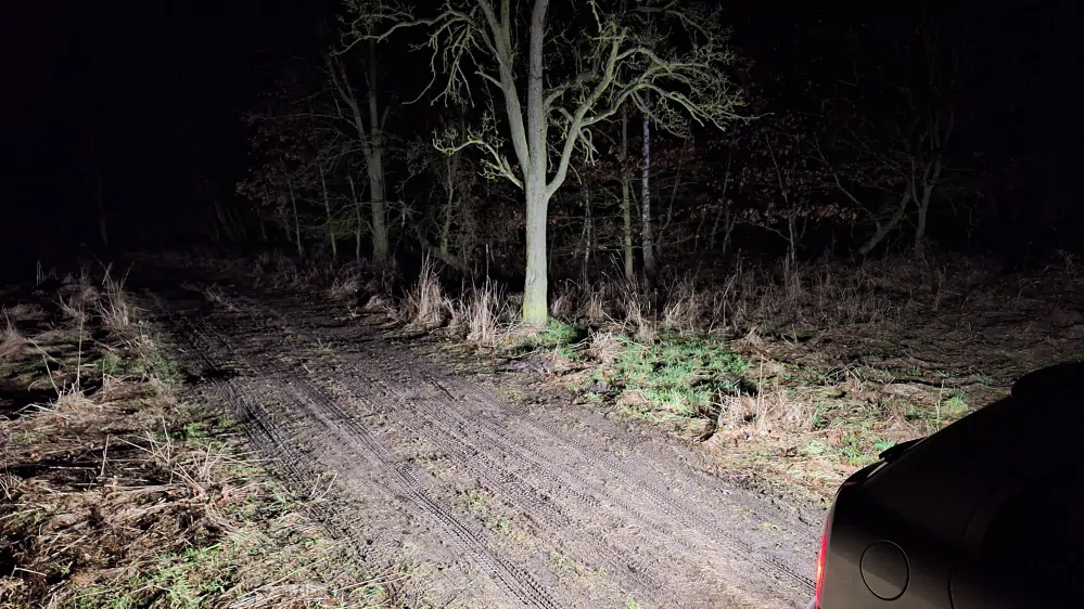 LED žárovky P21W - 26x SMD 3020 12V 26W 500Lux