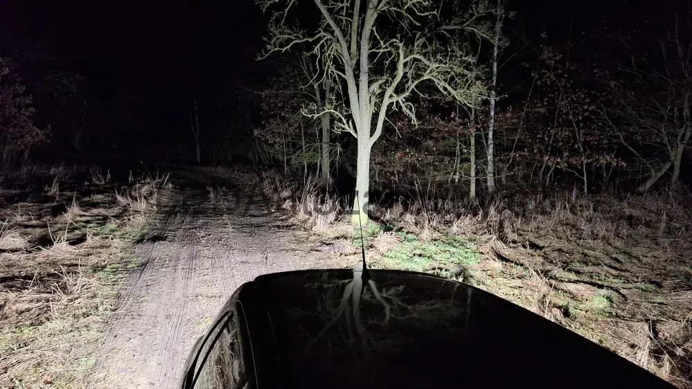 LED Autožárovky PY21W BAU15S - 30x SMD 3020 12V 30W 400Lux oranžová