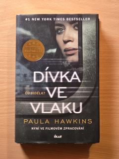 Dívka ve vlaku
